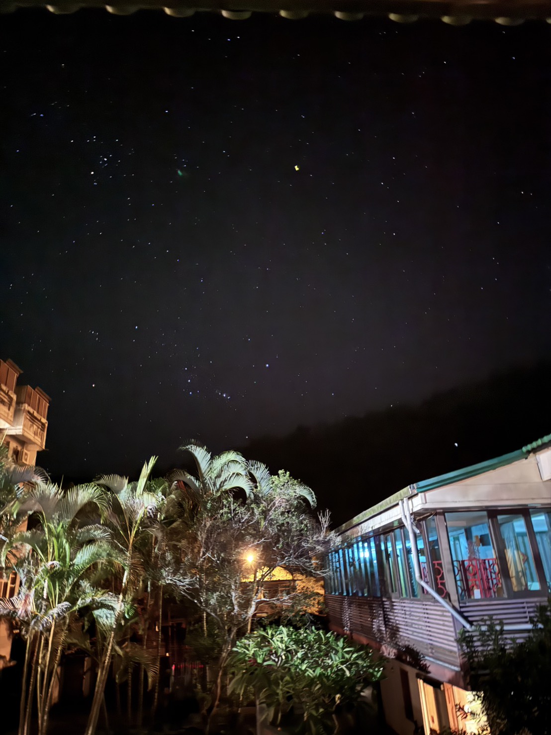 夜晚的星空，前景是棕櫚樹與木造建築